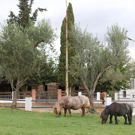 Masia Can Rovira - Esc1852 San Lorenzo de Hortóns Esterno foto