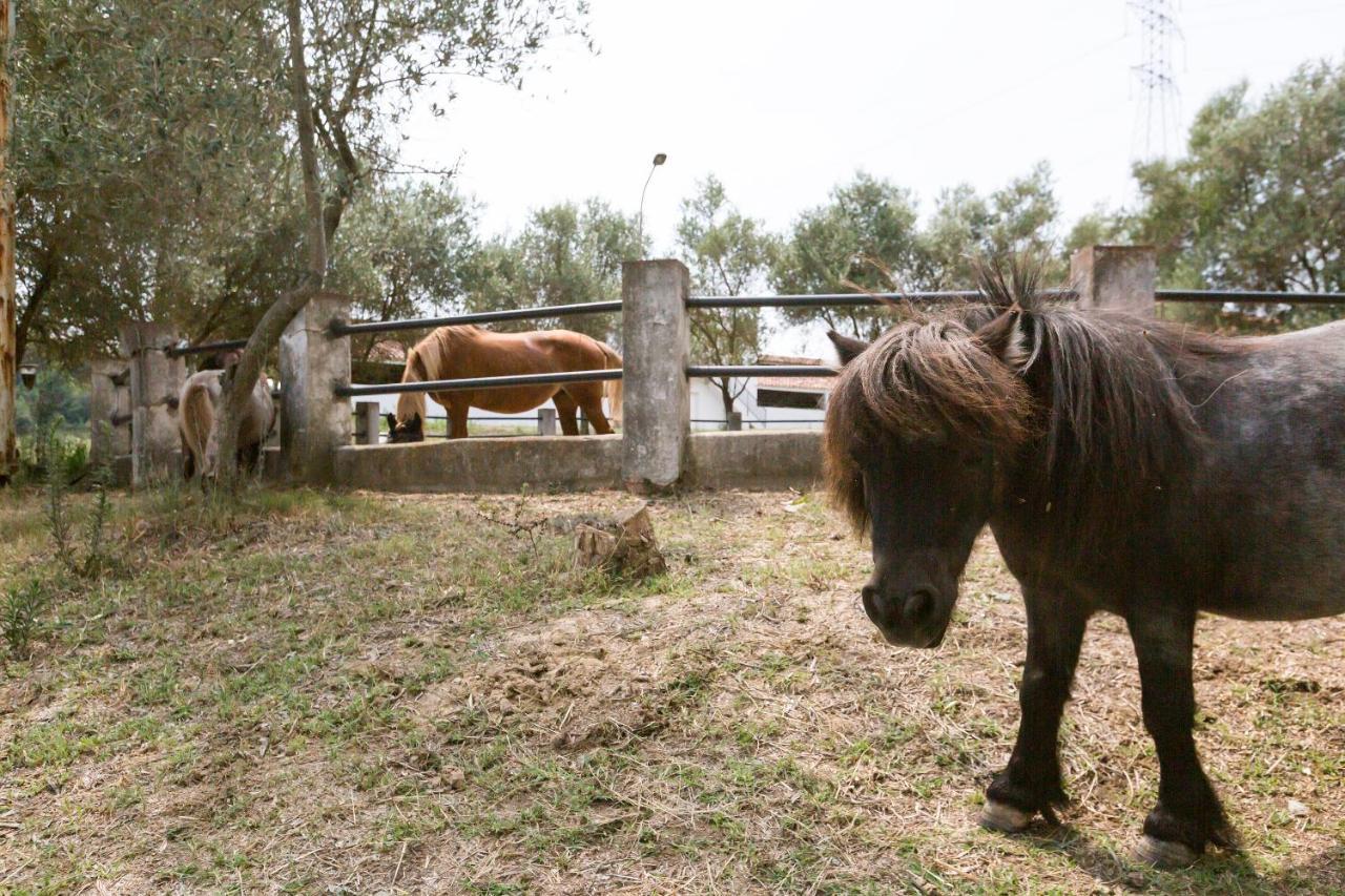 Masia Can Rovira - Esc1852 San Lorenzo de Hortóns Esterno foto