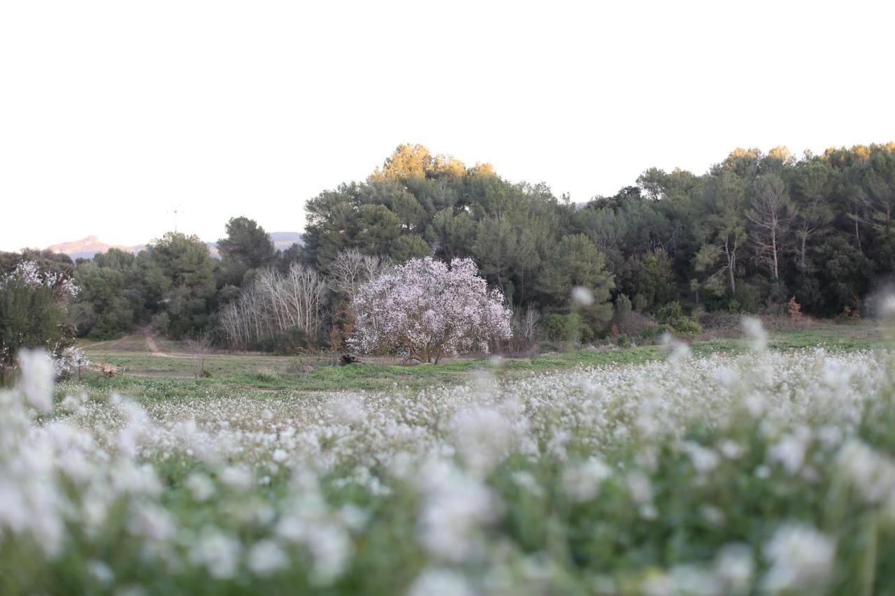 Masia Can Rovira - Esc1852 San Lorenzo de Hortóns Esterno foto