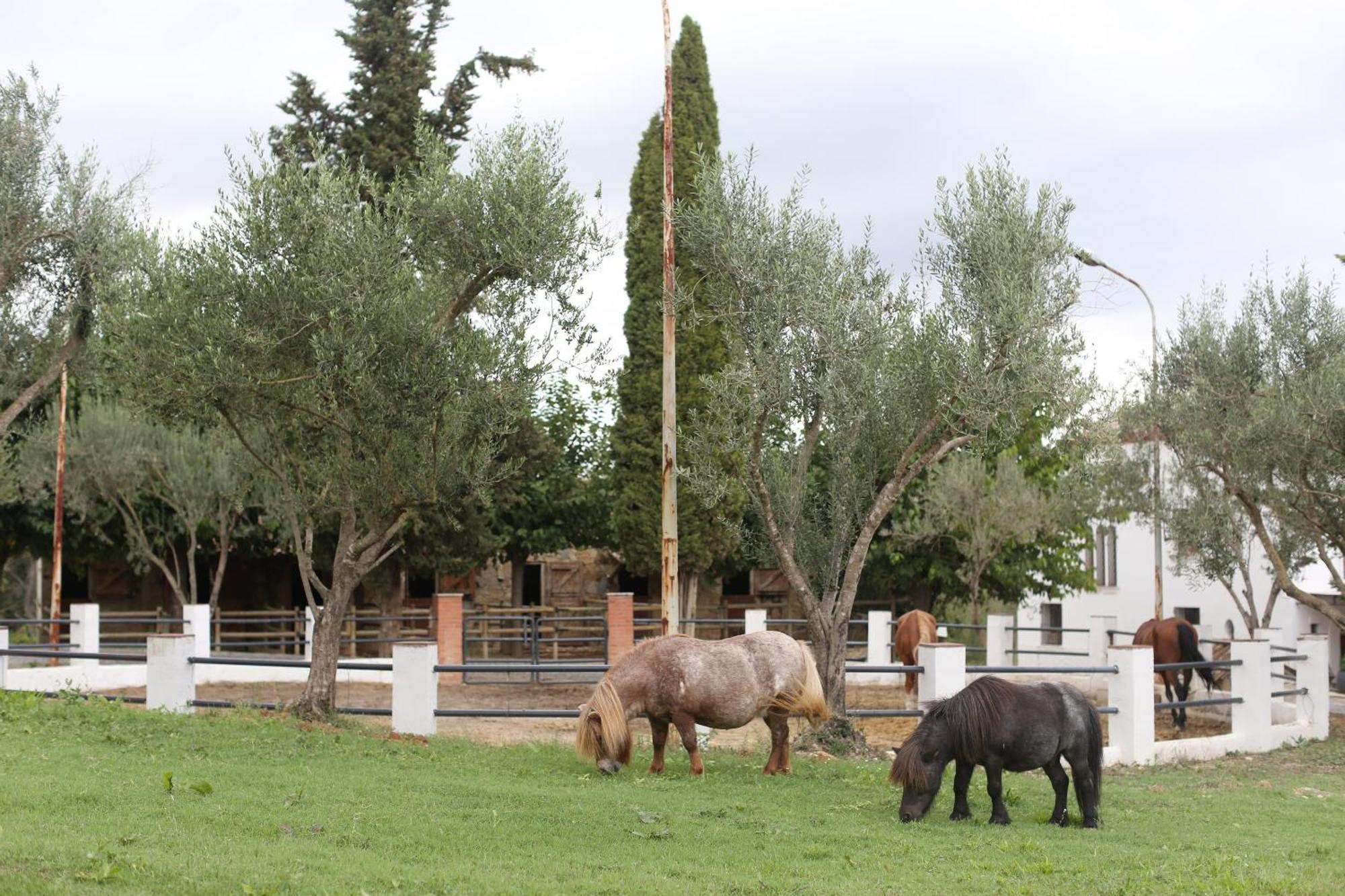 Masia Can Rovira - Esc1852 San Lorenzo de Hortóns Esterno foto